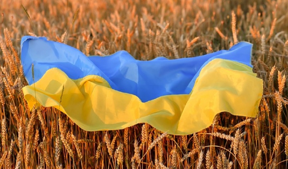 https://niss.gov.mn/wp-content/uploads/2022/08/Why-the-Ukraine-conflict-could-spark-dangerous-times-for-food-prices-and-food-security.jpg